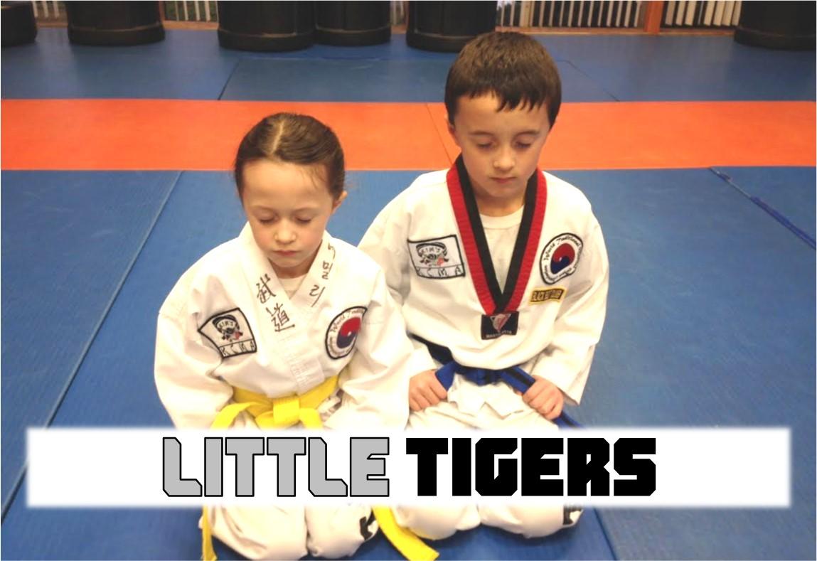 Little Tigers Tae Kwon Do Classes At Kim's College Of Martial Arts