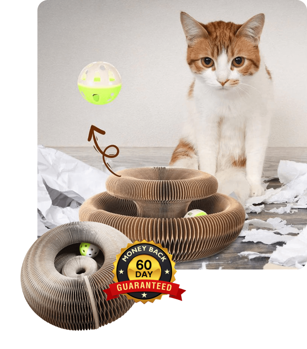 MagicClaw Scratching Board