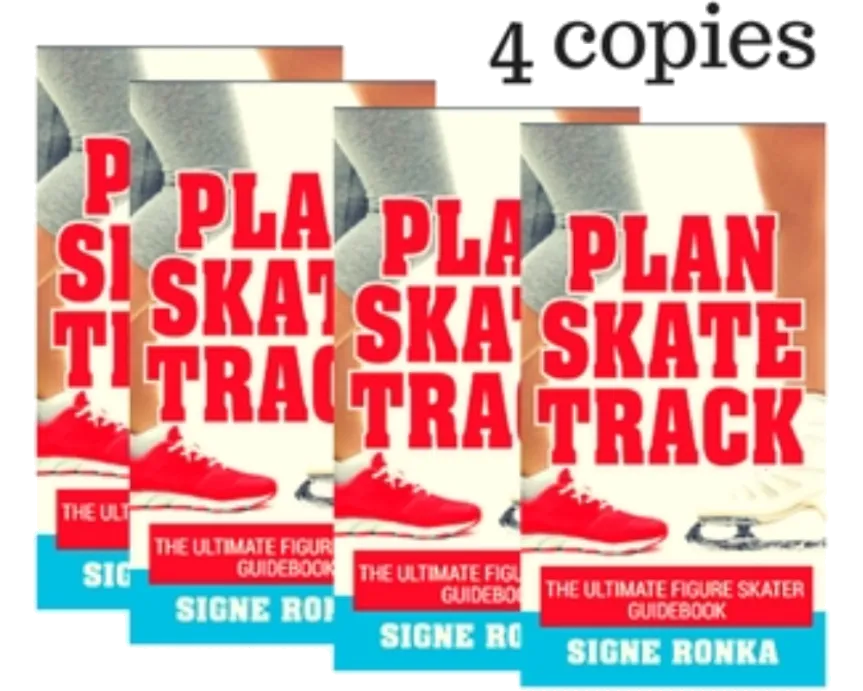 Plan Skate Track - 4 Copies (Yearly Tracking)