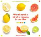 EnzoBerry Miracle Berry Tablets | Miracle Fruits 10 Count, Turns Sour Foods to Sweet, 0.14 Ounce (Pack of 1)