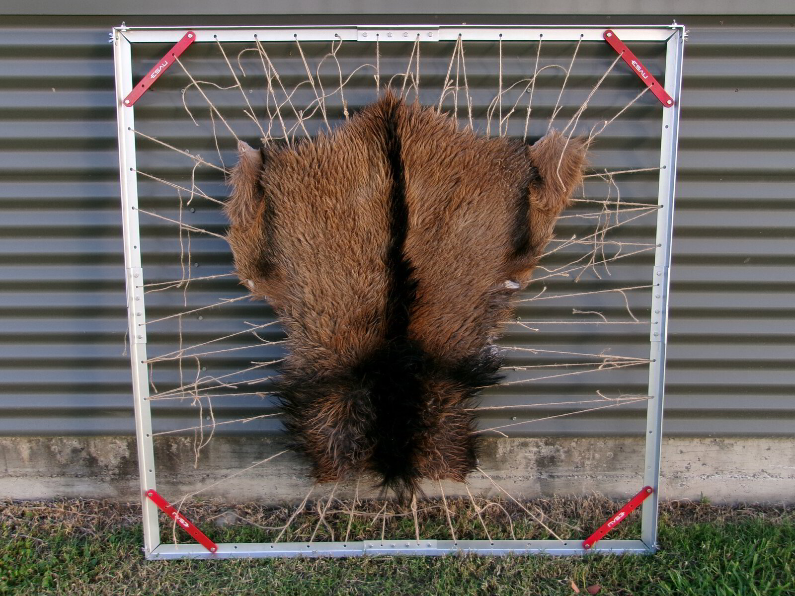 Pelt Rack