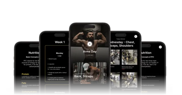 Anatoly Training Program – Zeliker