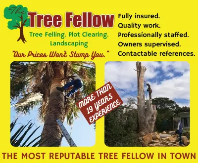 Tree Fellow
