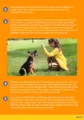 Step-by-Step Dog Training At Home