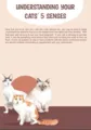 Understanding Your Cats' 5 Senses