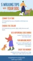 5 Walking Tips with your DOG