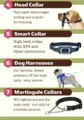 7 Types of Dog Collars