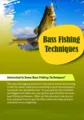 Bass Fishing Techniques