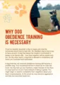 Why Dog Obedience Training Is Necessary