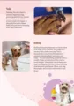 Dog Grooming Tips