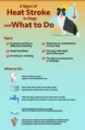 6 Signs of Heat Stroke in Dogs and What To Do