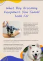What Dog Grooming Equipment You Should  Look For