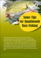 Some Tips For Smallmouth Bass Fishing