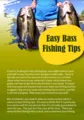 Easy Bass Fishing Tips