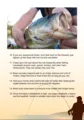 Top 20 Bass Fishing Tips