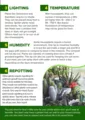 6 Easy Tips On How To Care For Your Plants