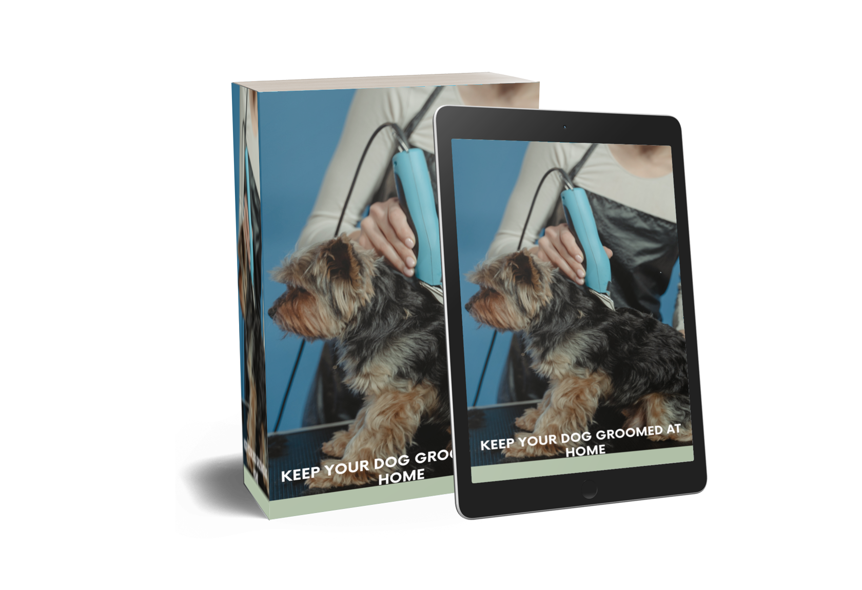 KEEP YOUR Dog GROOMED AT HOME