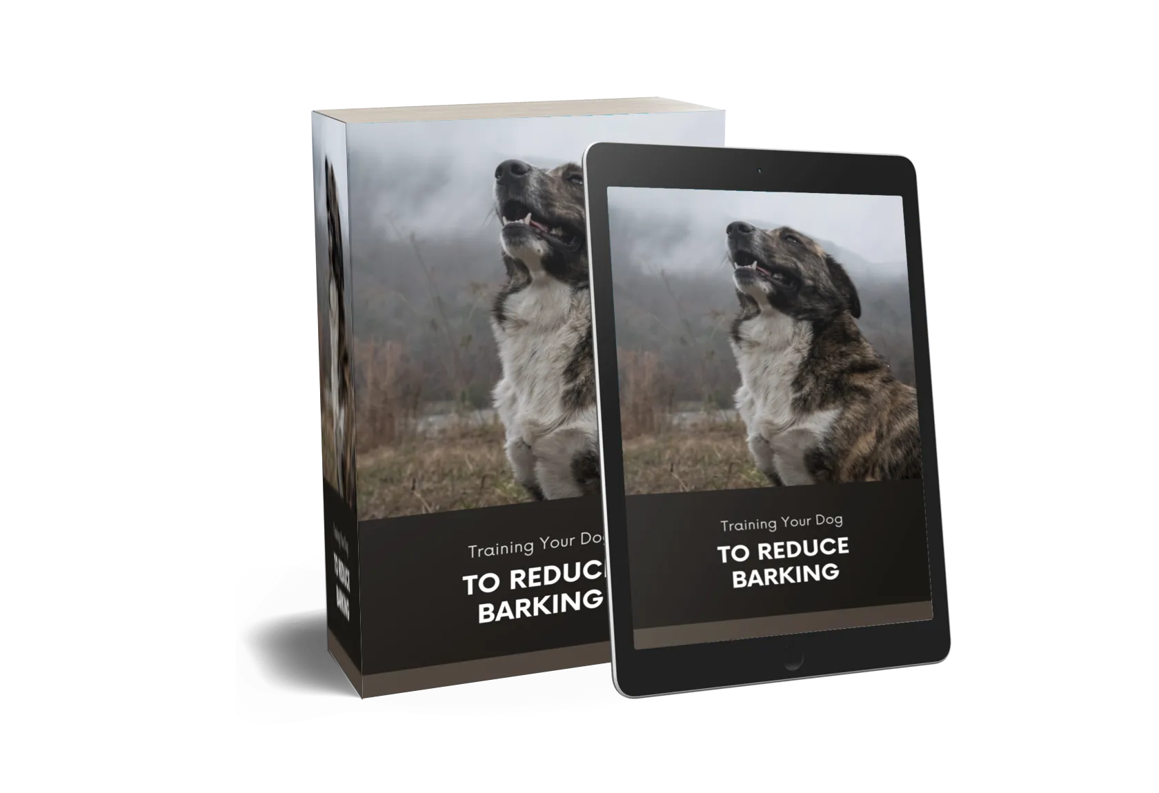 Training Your Dog To Reduce Barking