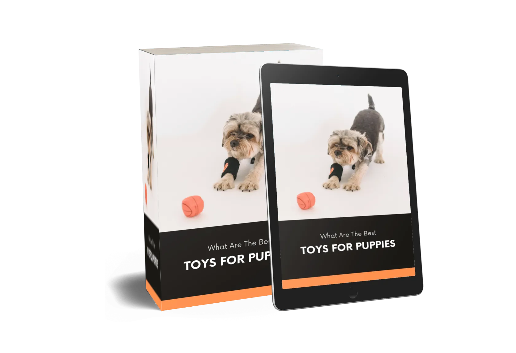 What Are The Best Toys for Puppies