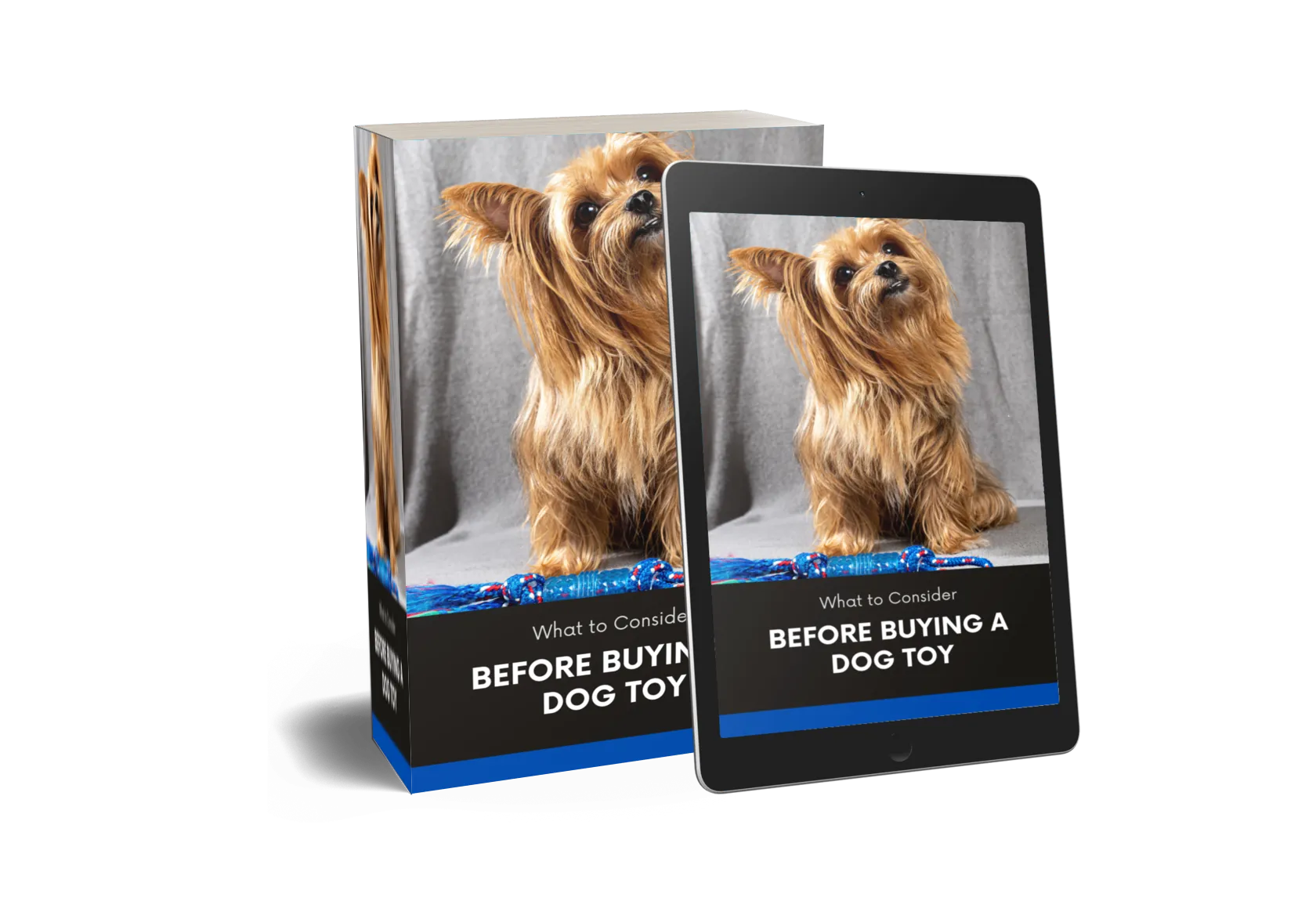 What to Consider Before Buying a Dog Toy