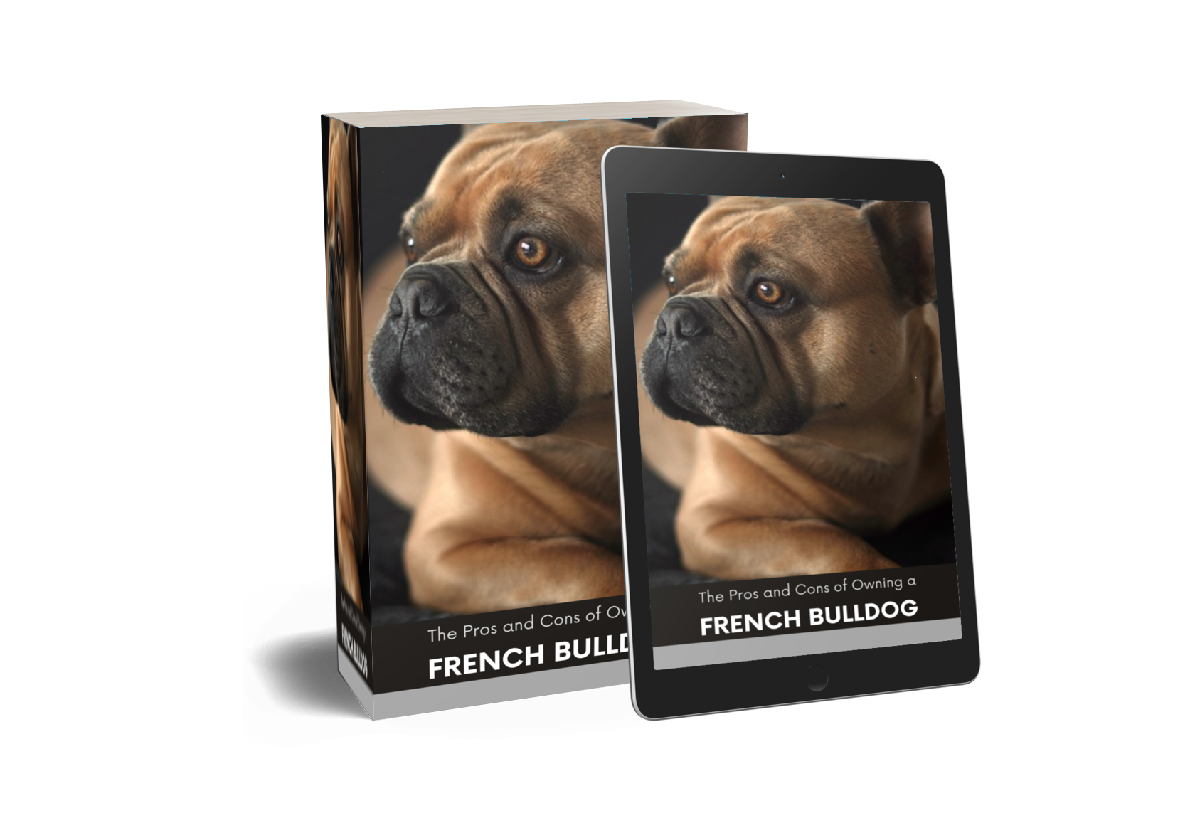 The Pros and Cons of Owning a French Bulldog 