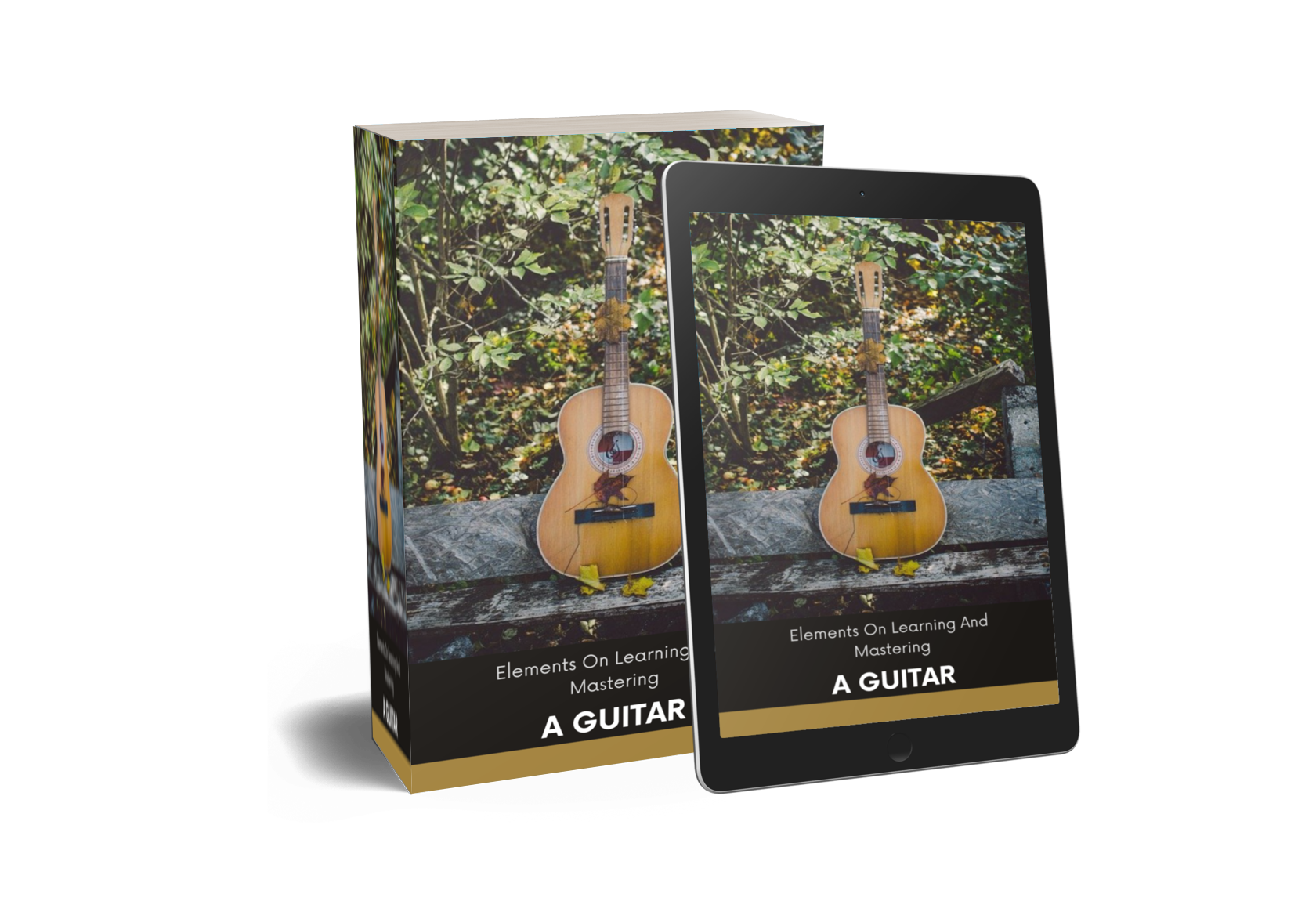 Elements on learning and mastering a guitar