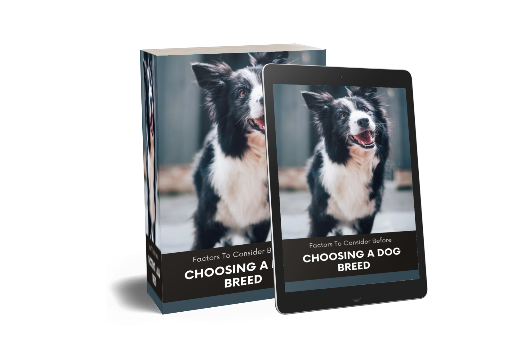 Here Are Some Factors To Consider Before Choosing A Dog Breed