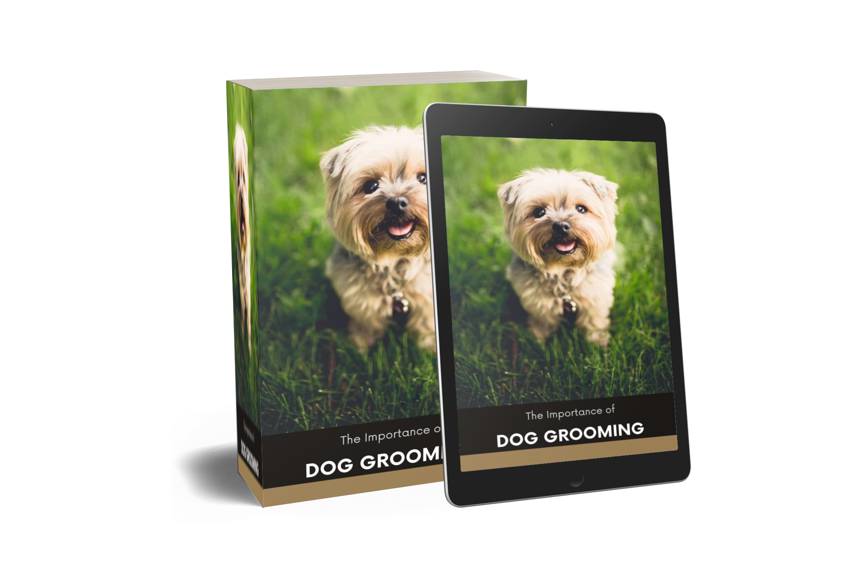 The Importance Of Dog Grooming