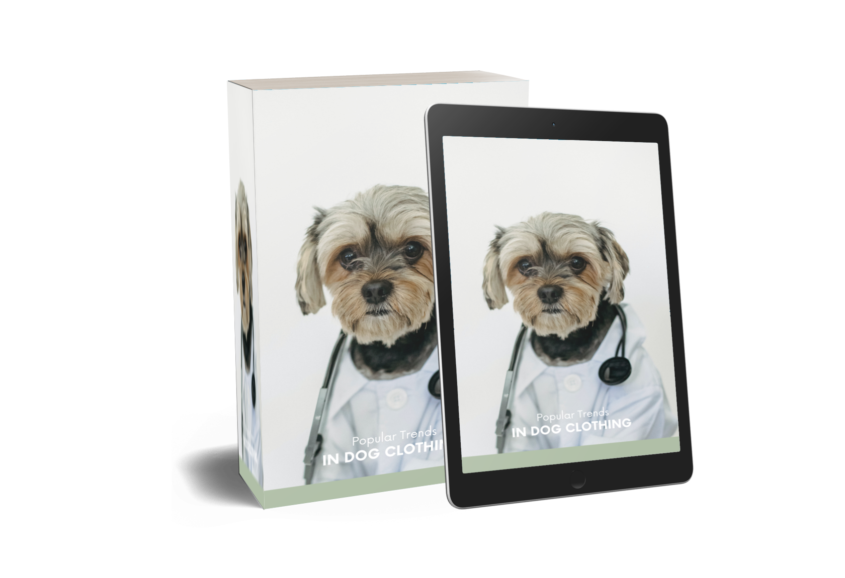 Popular Trends In DOG CLOTHING popular-trends-in-dog-clothing