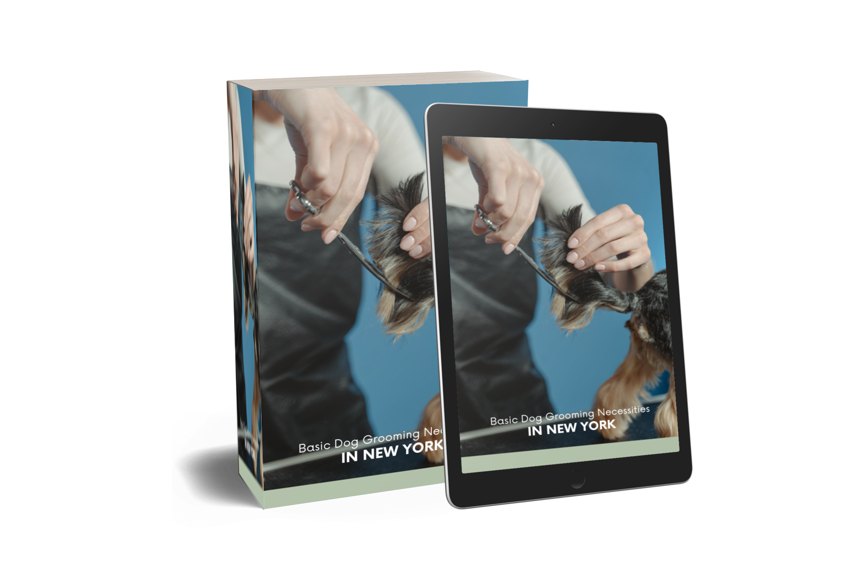 Basic Dog Grooming Necessities in New York