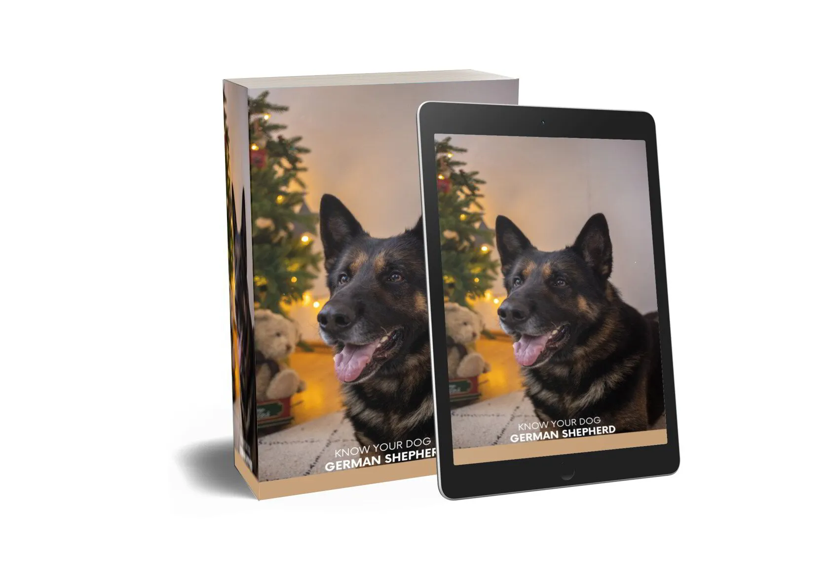 KNOW YOUR DOG GERMAN SHEPHERD