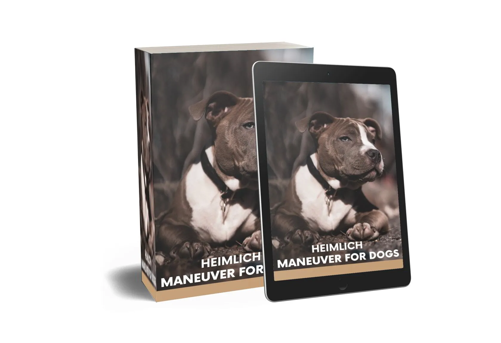 HEIMLICH MANEUVER For Dogs