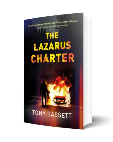 Smile of the Stowaway book cover web