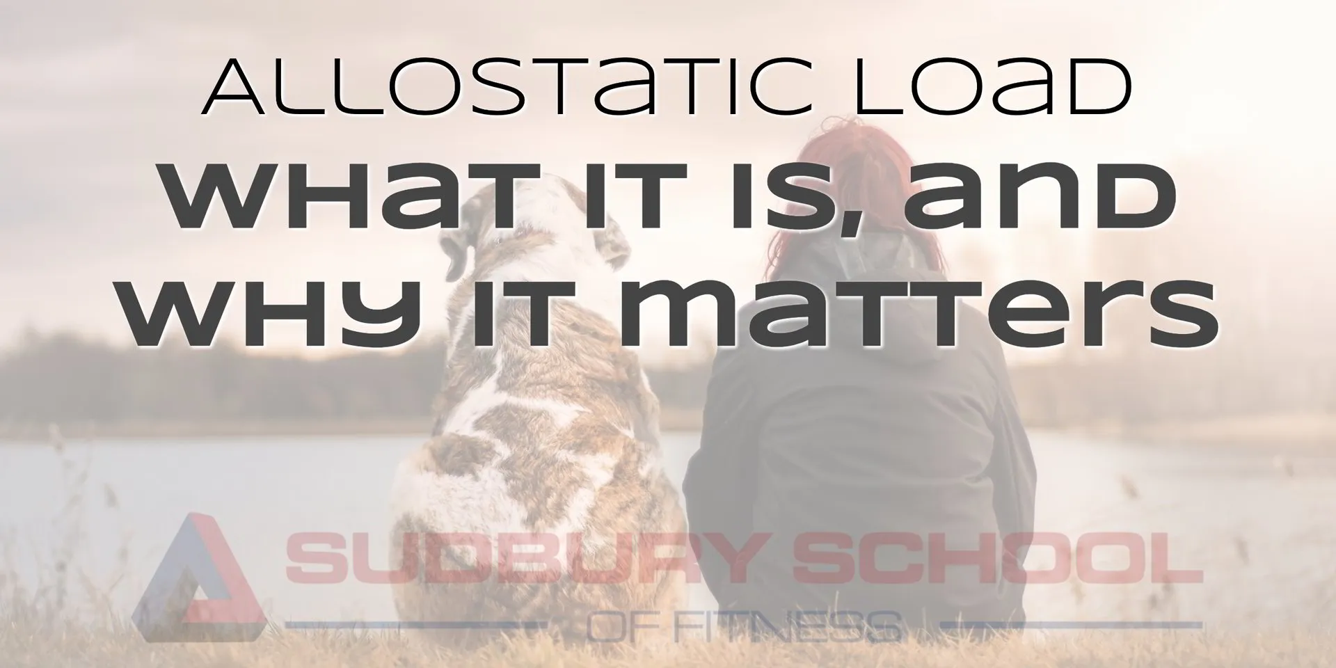 Allostatic Load - What it is &amp; Why it matters