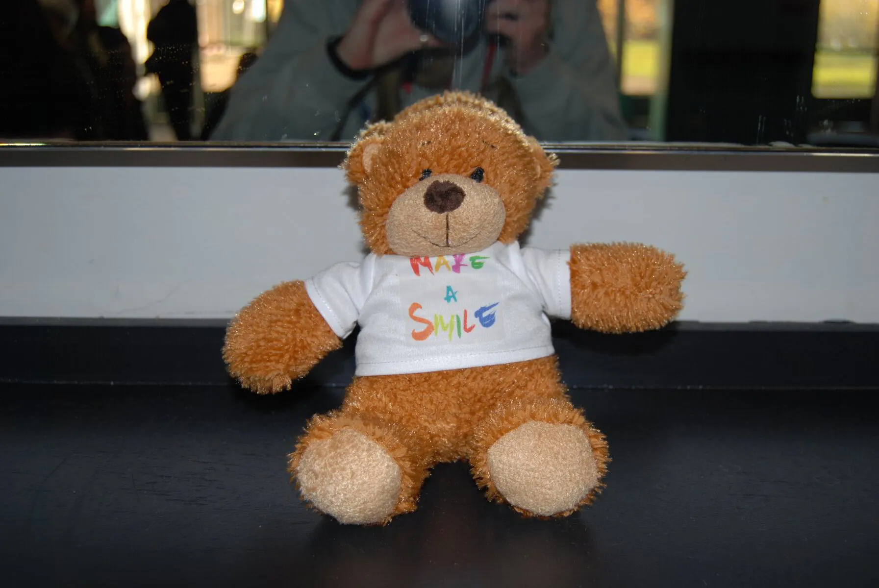 Teddy bear at home discount