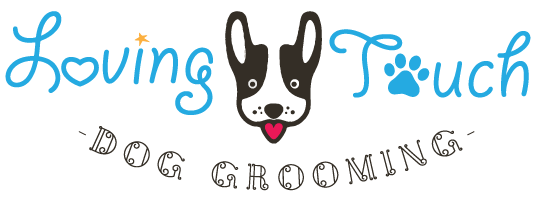 Enfield Dog Grooming Service | Loving Touch Dog Grooming