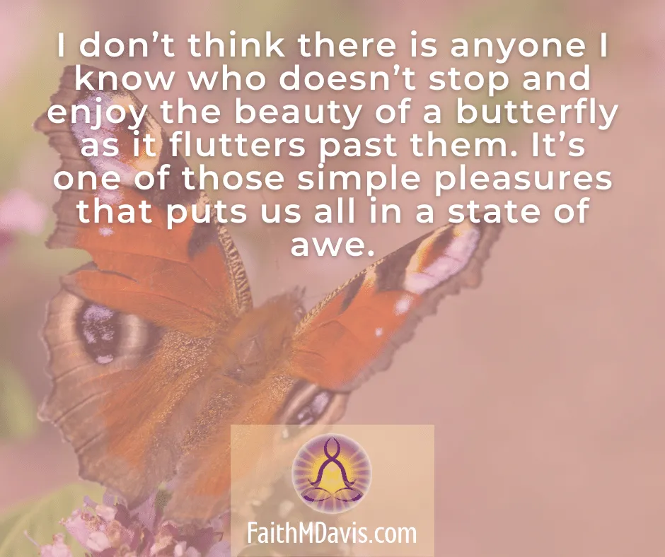 Butterfly Simple Pleasures