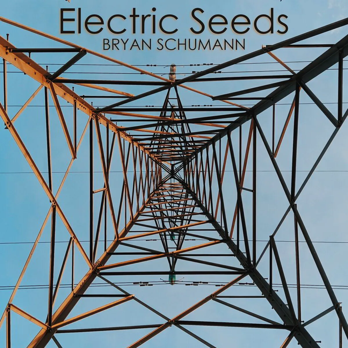 Electric Seeds (audio download)
