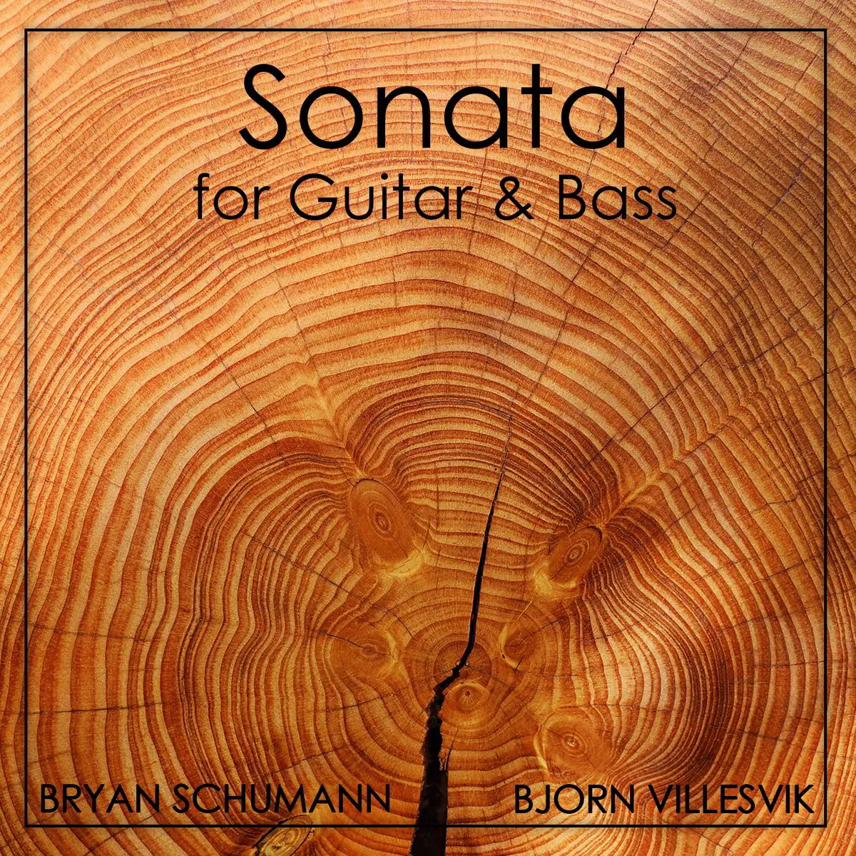 Sonata for Guitar & Bass (audio download)