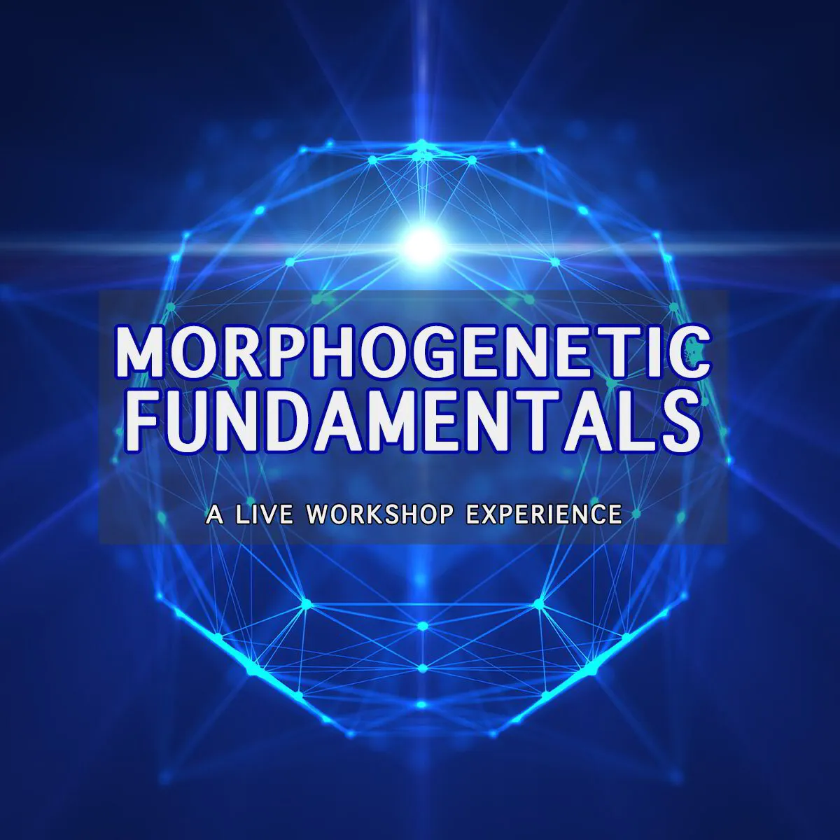 MORPHOGENETIC FUNDAMENTALS [Live Workshop 05/25/2024]