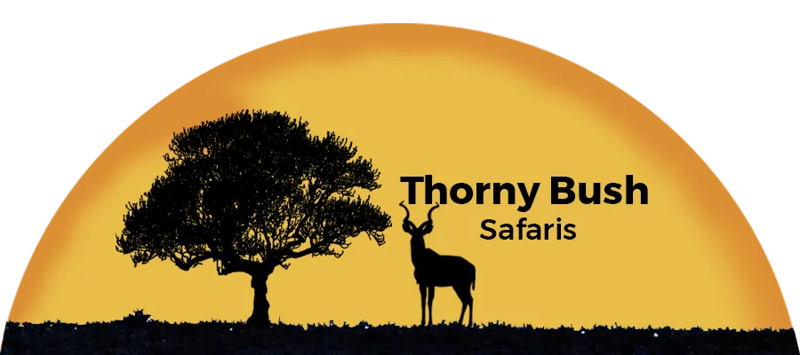 Thorny Bush 2