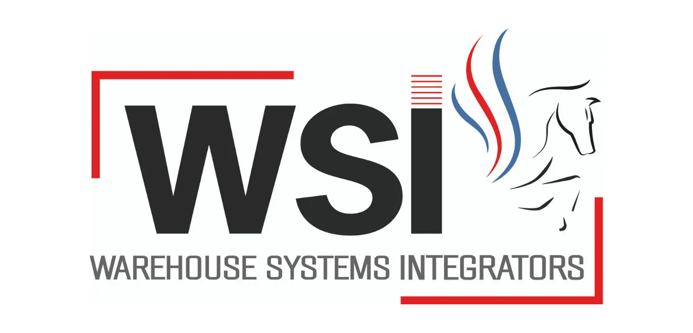 Logo WSI