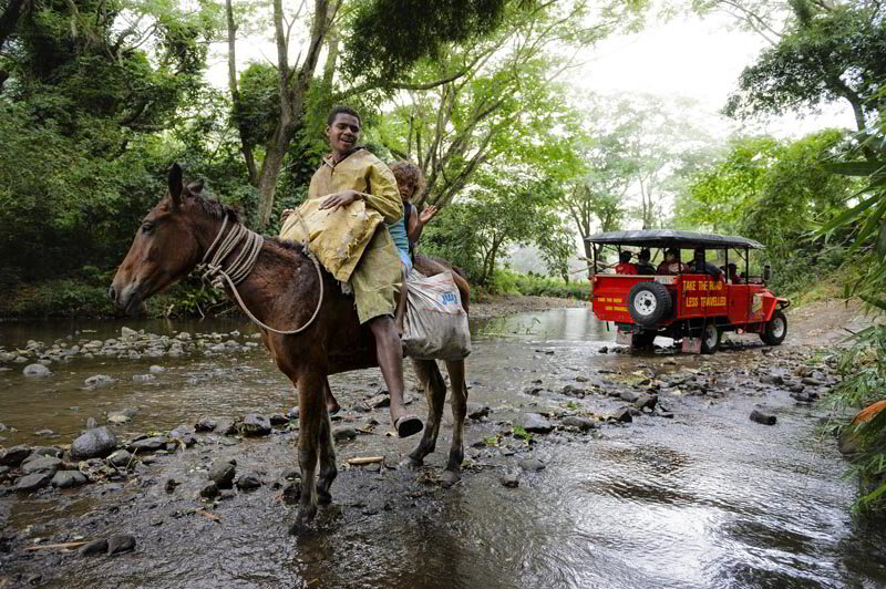 Off Road Fiji