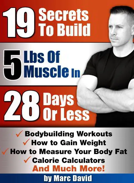 19 Tips to Build Muscle