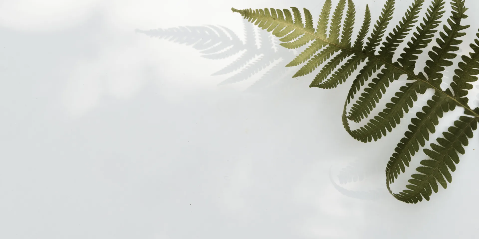 glutathione drip results Fertility Education Center | Blog main image 1