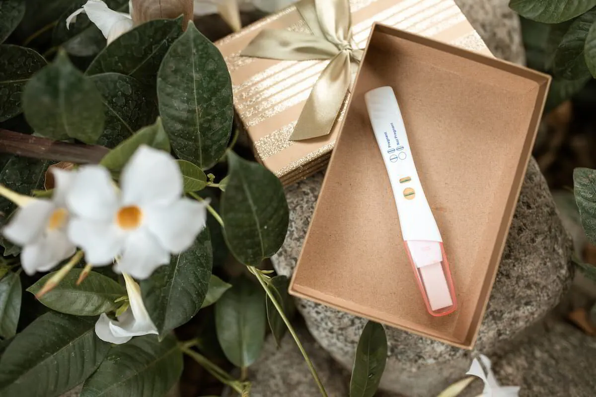How a Naturopathic Doctor can Support your Fertility Journey