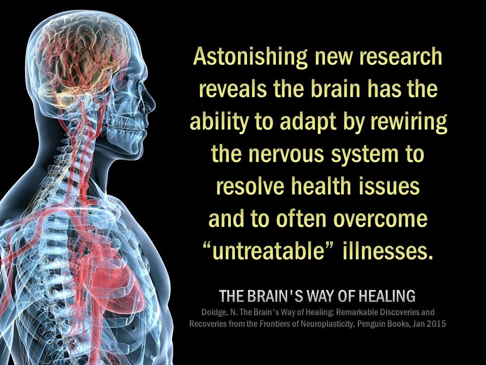 Chiropractic and your Immune System