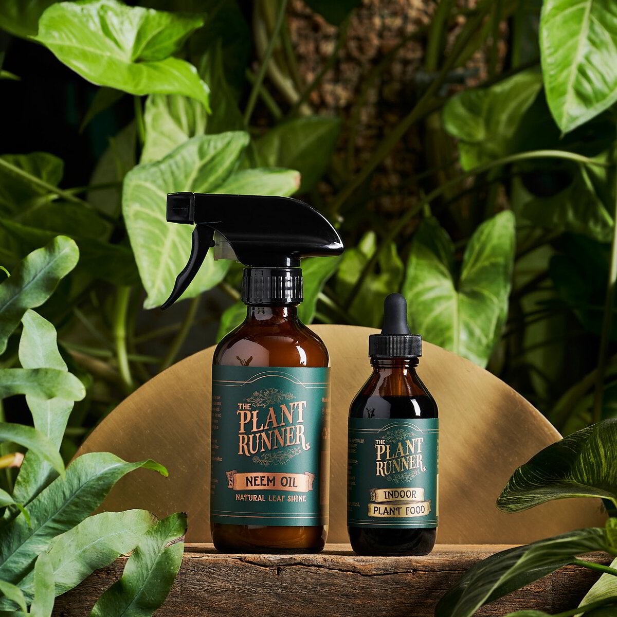 The Plant Runner Indoor Plant Food & Neem Oil Bundle
