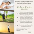 For The Love of Money & Wellness Warrior Workshop Coaching Combo
