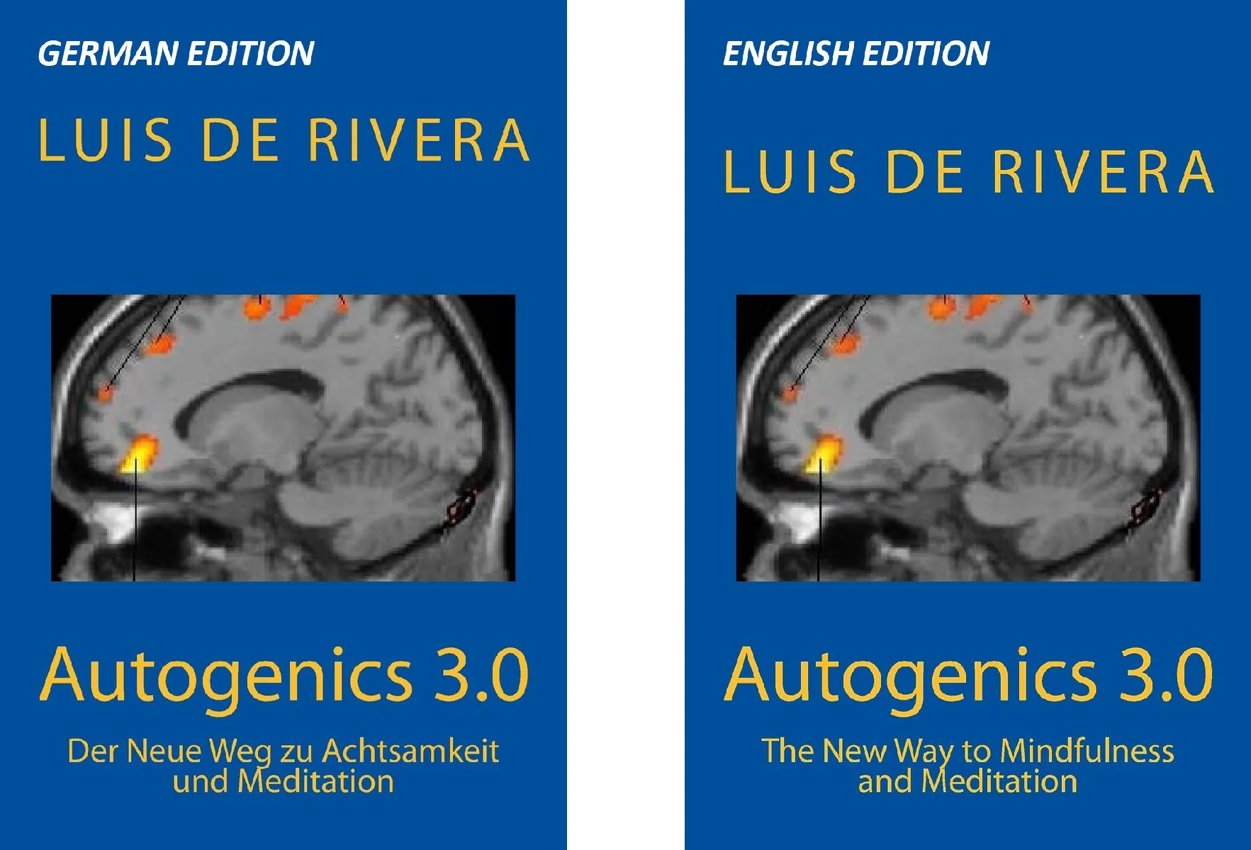 Autogenics 3.0 by Dr Luis de Rivera